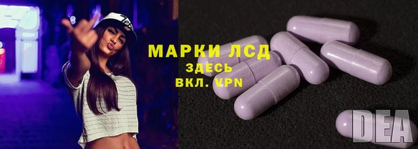 гидра Алексин