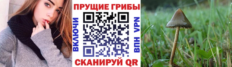 Галлюциногенные грибы Magic Shrooms  где купить наркоту  Новоуральск 